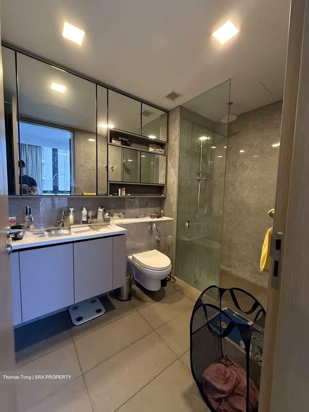 The Tapestry (D18), Condominium #563952261